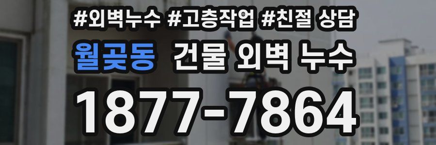 월곶동 건물 외벽 누수