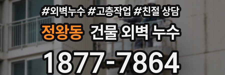 정왕동 건물 외벽 누수