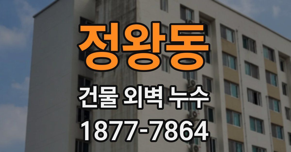 정왕동 건물 외벽 누수