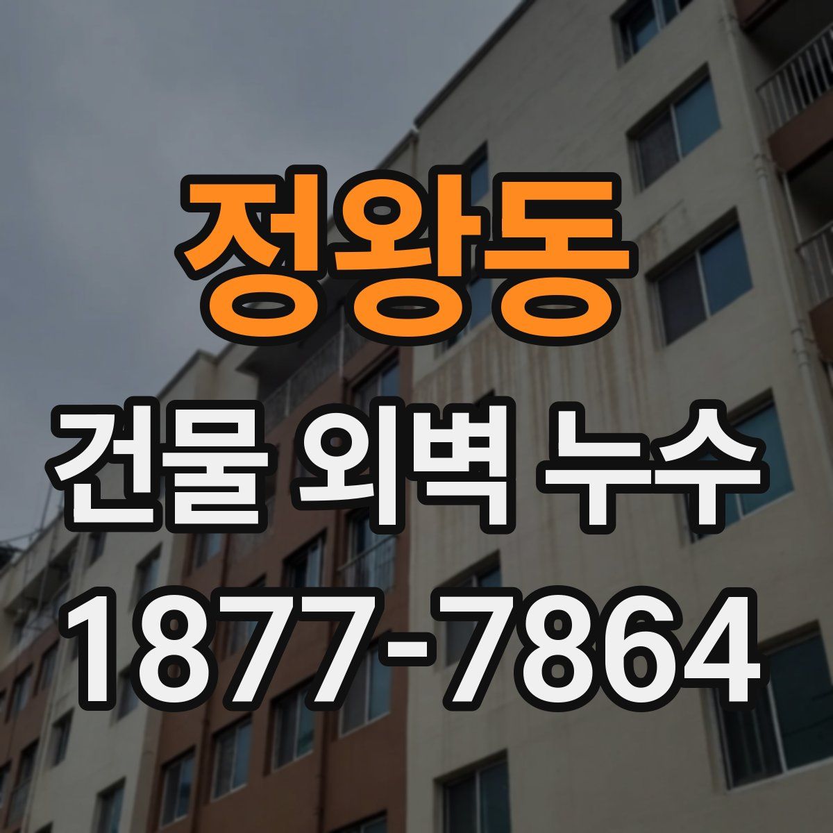 정왕동 건물 외벽 누수