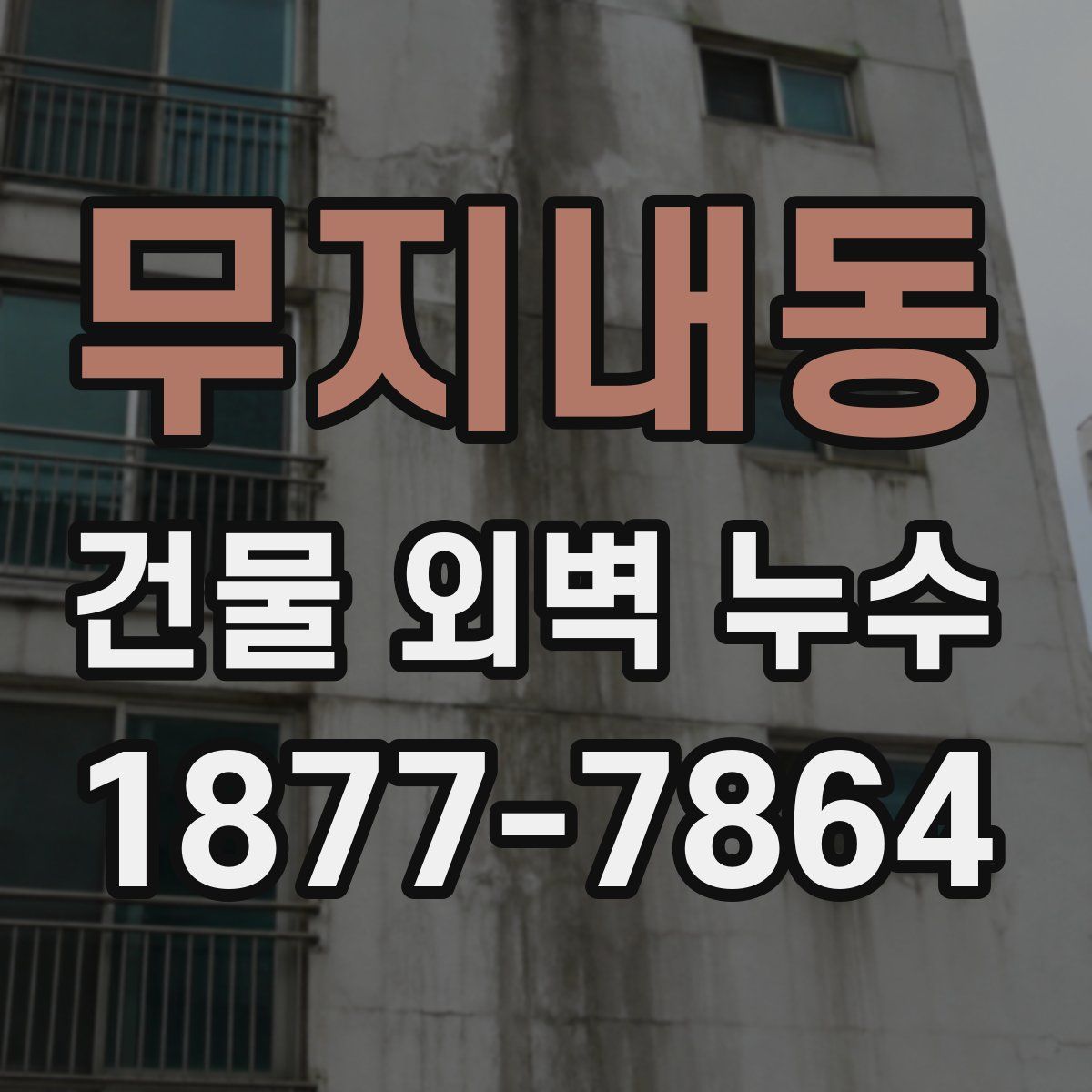 무지내동 건물 외벽 누수
