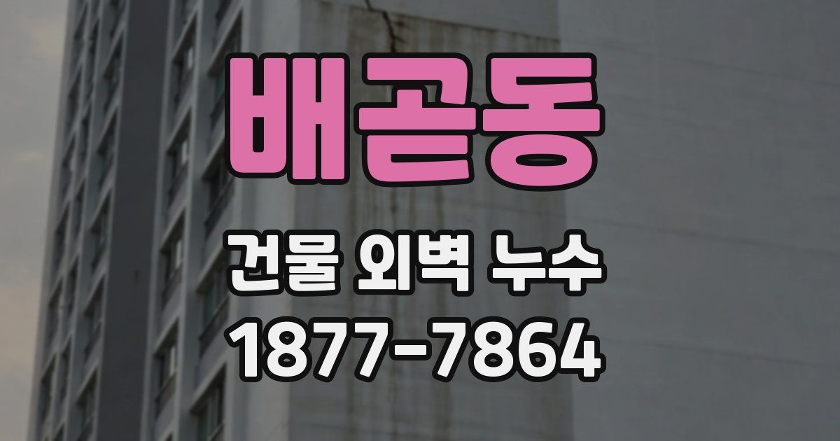 배곧동 건물 외벽 누수