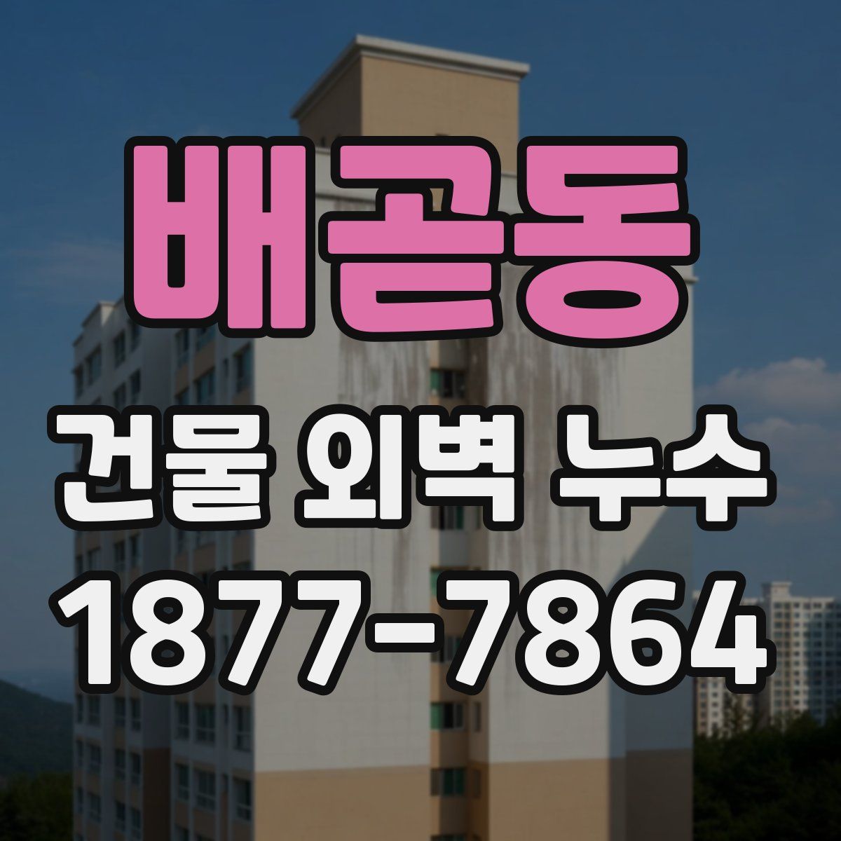 배곧동 건물 외벽 누수