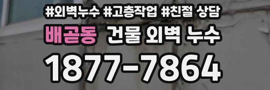 배곧동 건물 외벽 누수