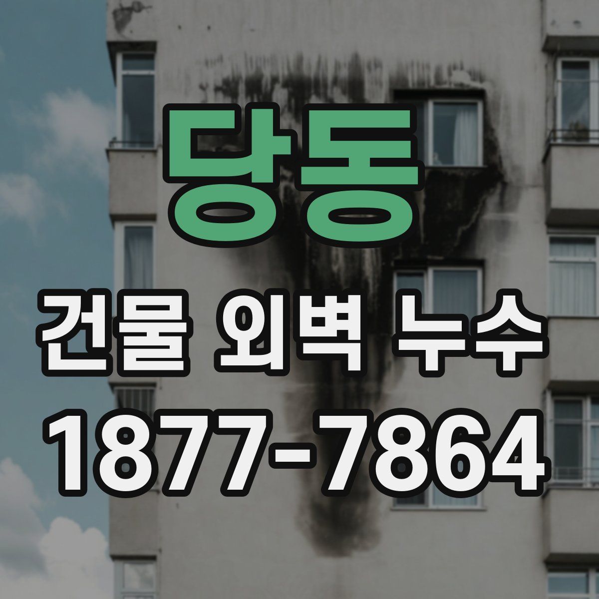 당동 건물 외벽 누수
