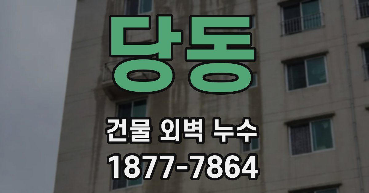 당동 건물 외벽 누수