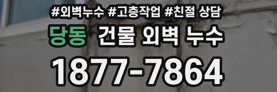 당동 건물 외벽 누수