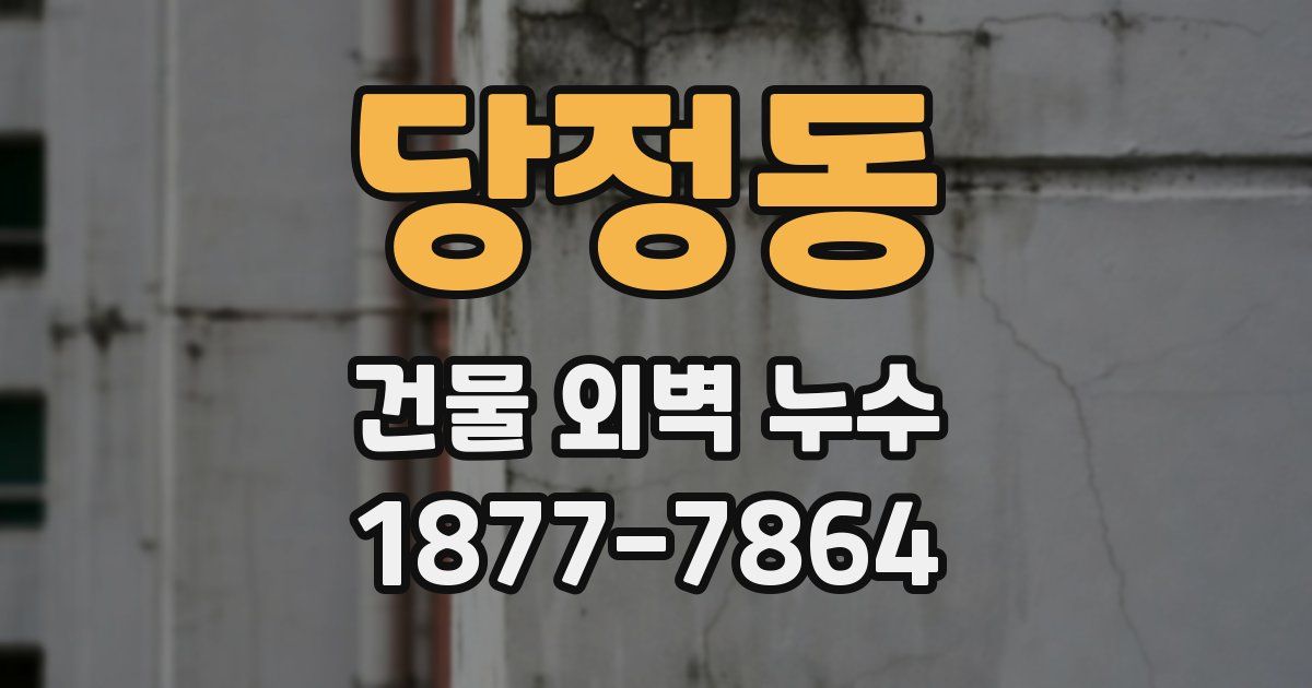 당정동 건물 외벽 누수