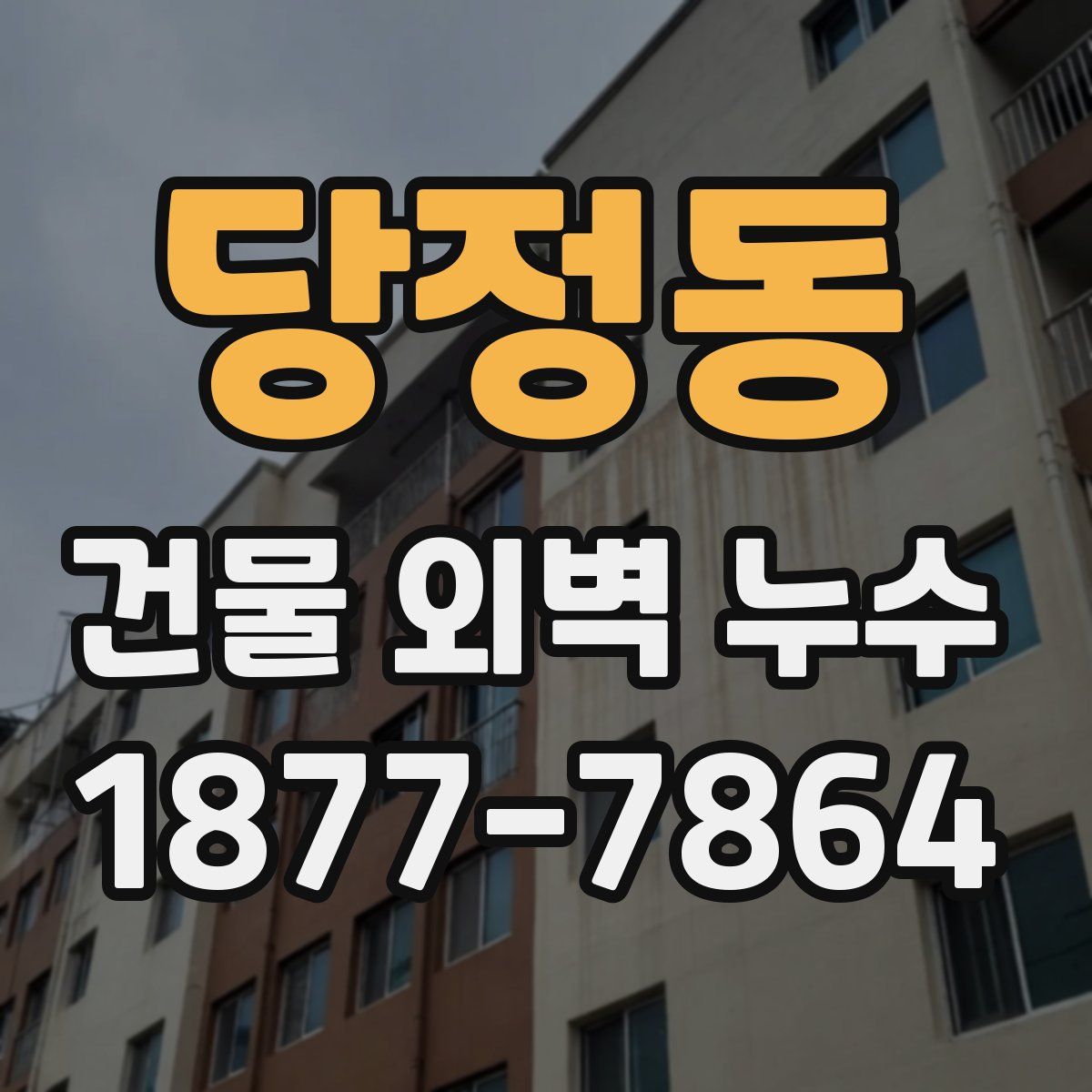 당정동 건물 외벽 누수