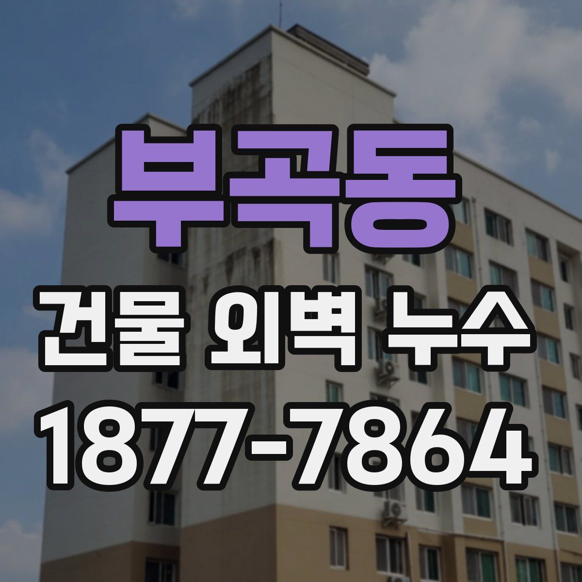 부곡동 건물 외벽 누수