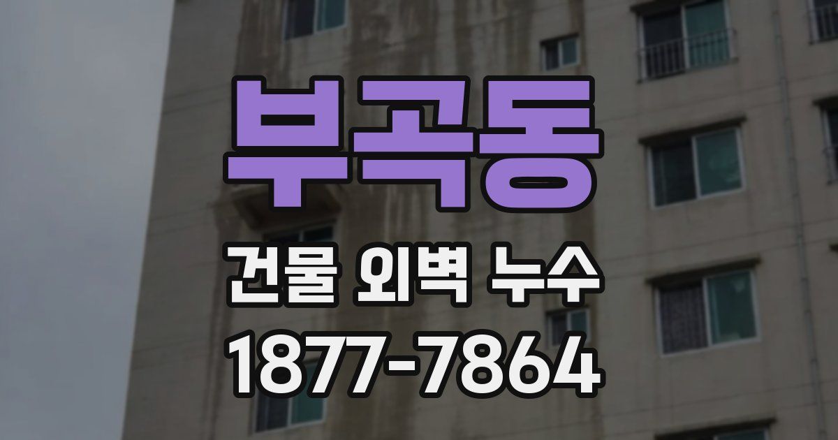 부곡동 건물 외벽 누수
