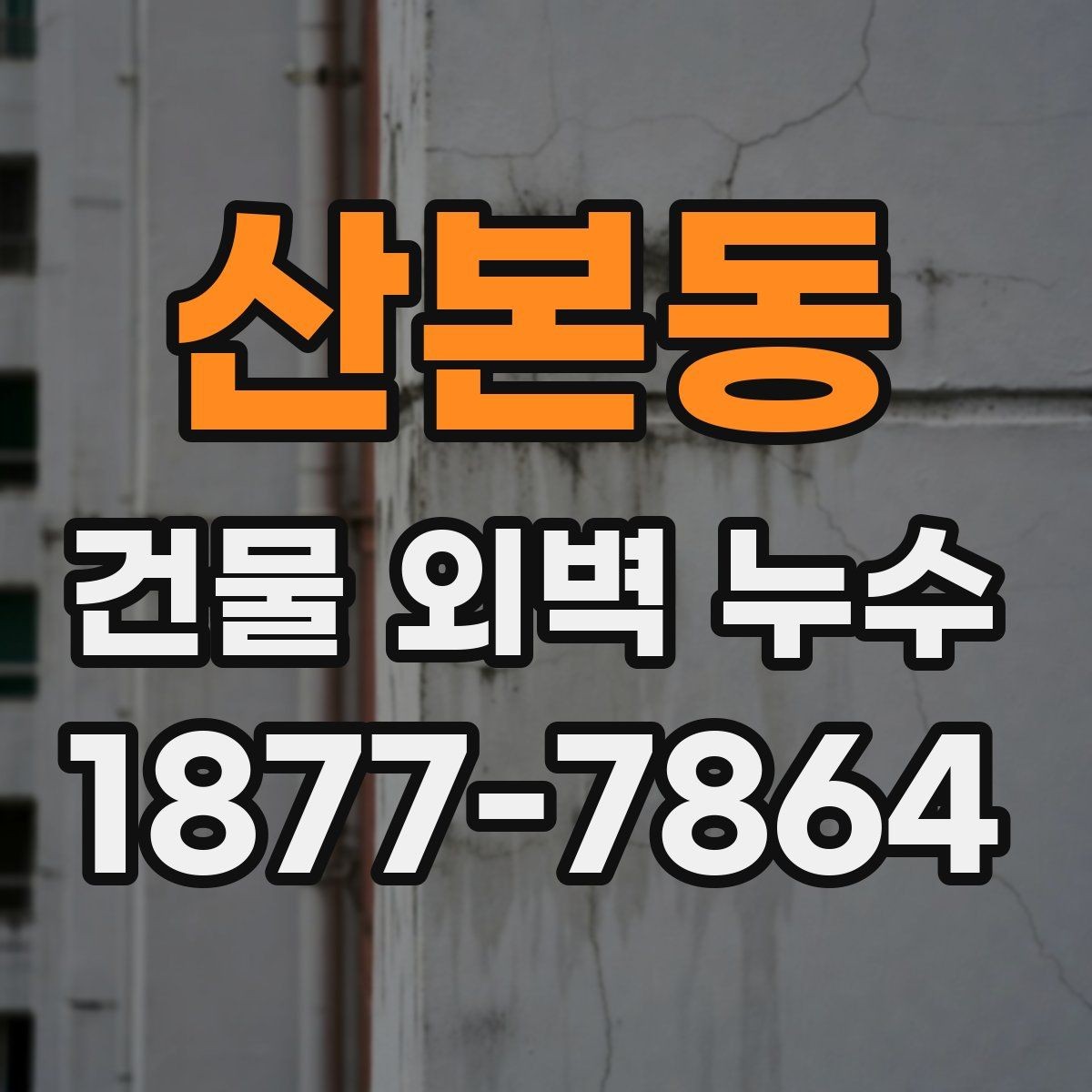 산본동 건물 외벽 누수 발생 구간별 수리 접근