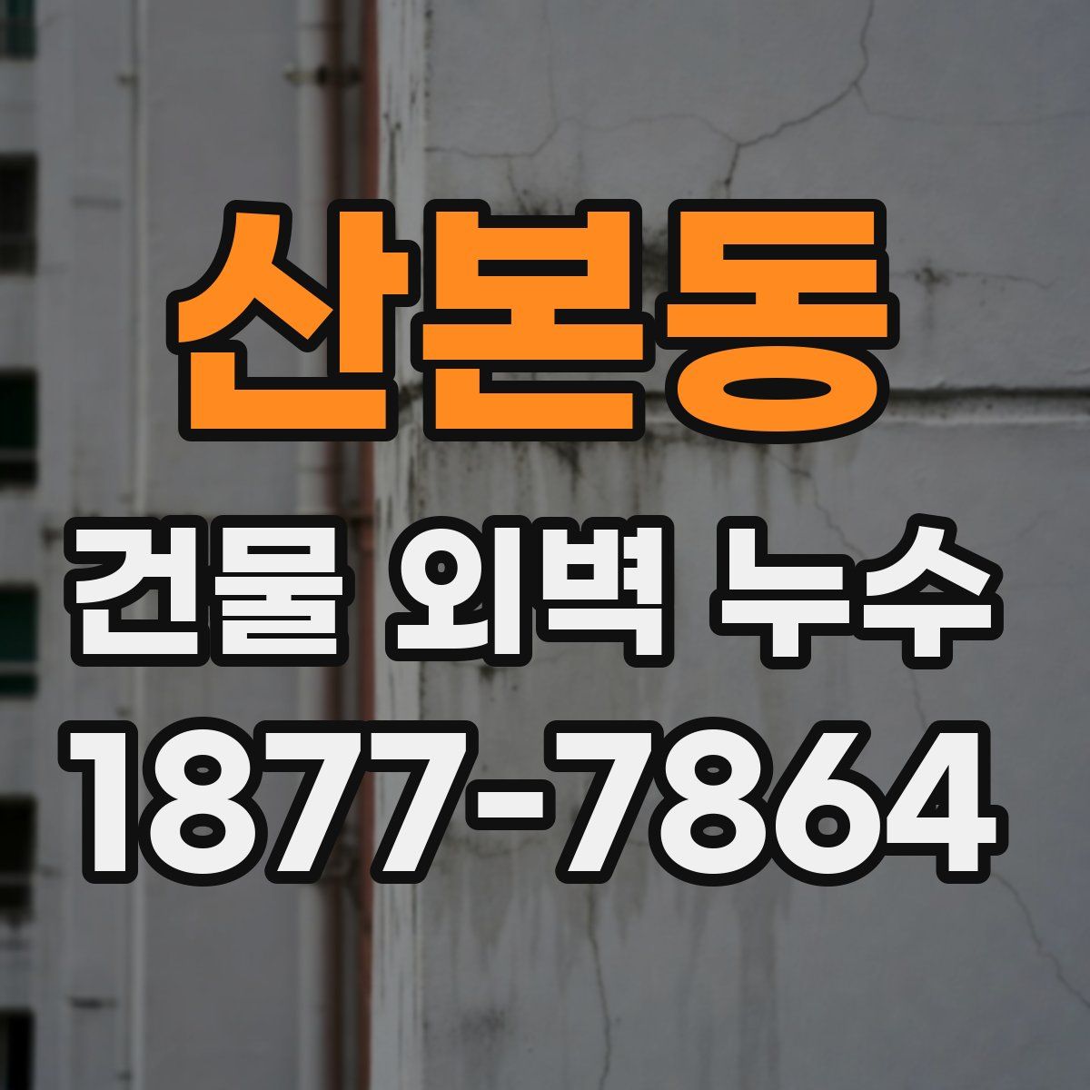 산본동 건물 외벽 누수