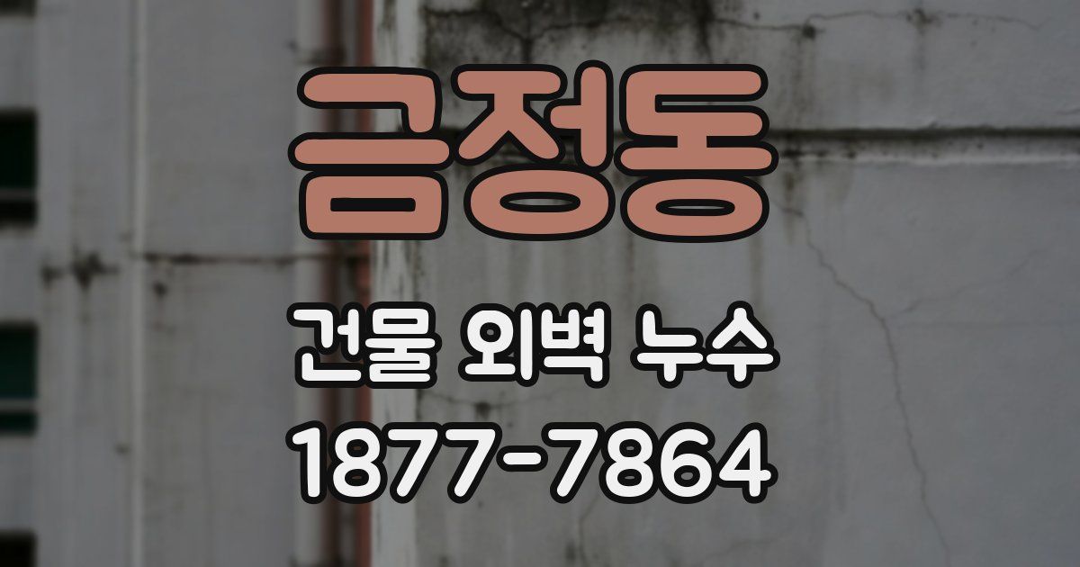 금정동 건물 외벽 누수