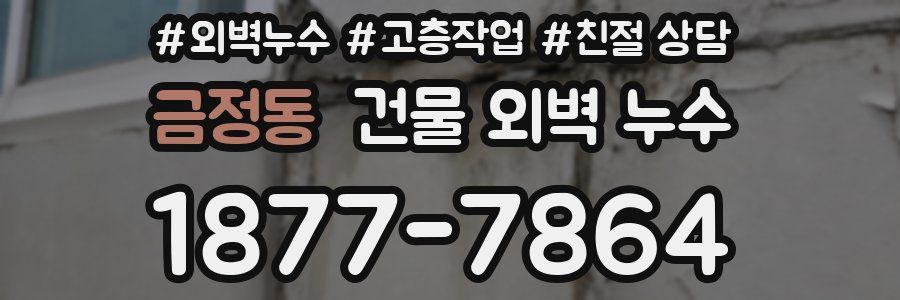 금정동 건물 외벽 누수