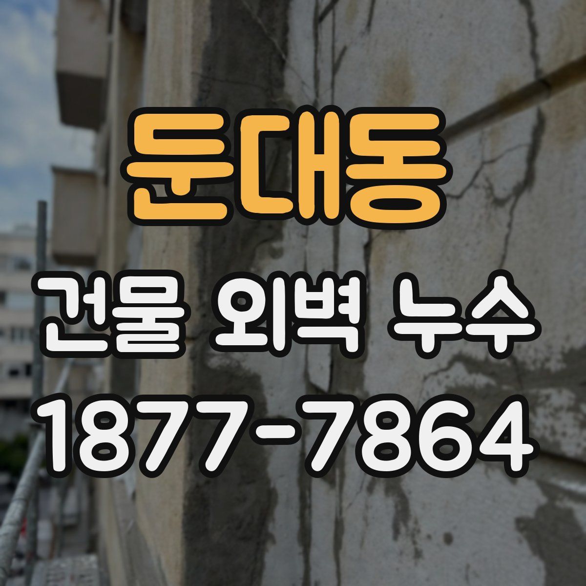 둔대동 건물 외벽 누수
