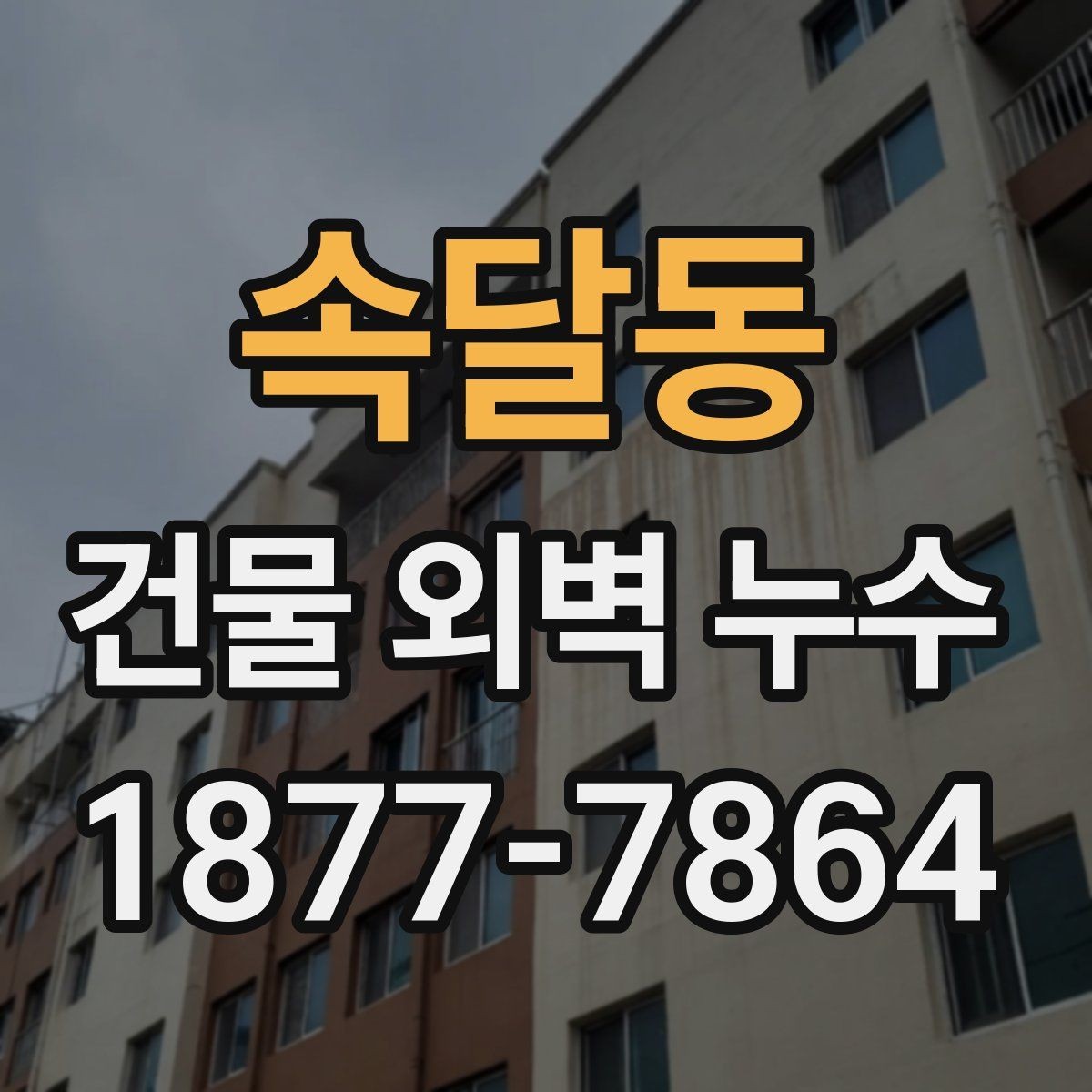 속달동 건물 외벽 누수 발생 시 확인할 사항