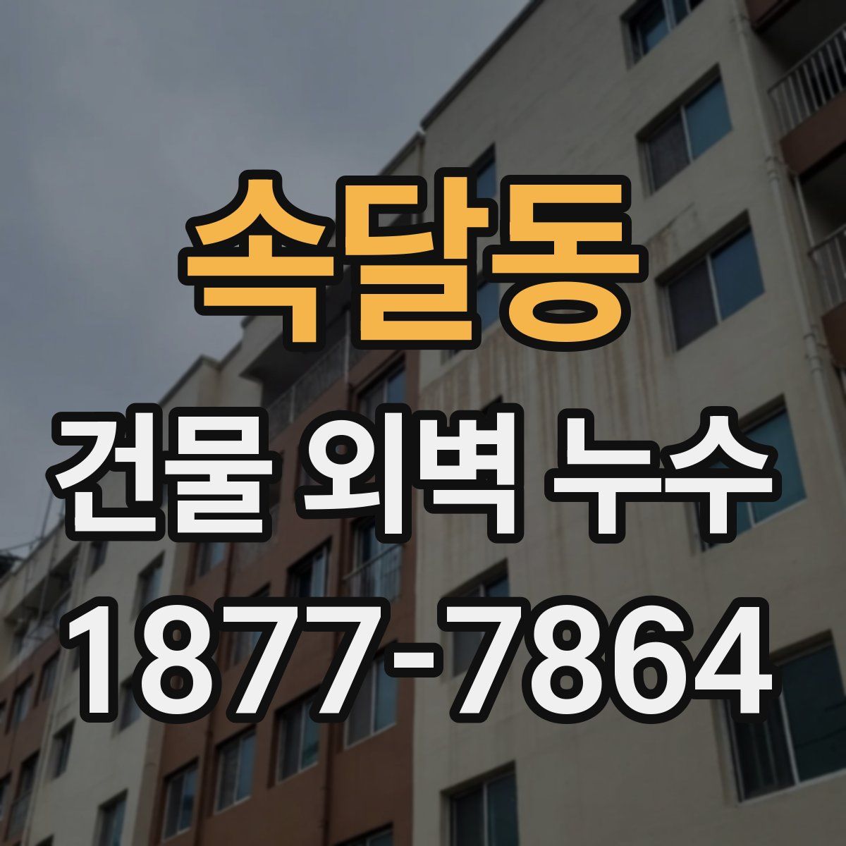 속달동 건물 외벽 누수