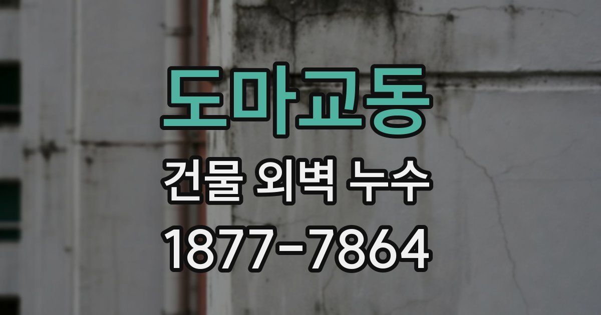 도마교동 건물 외벽 누수
