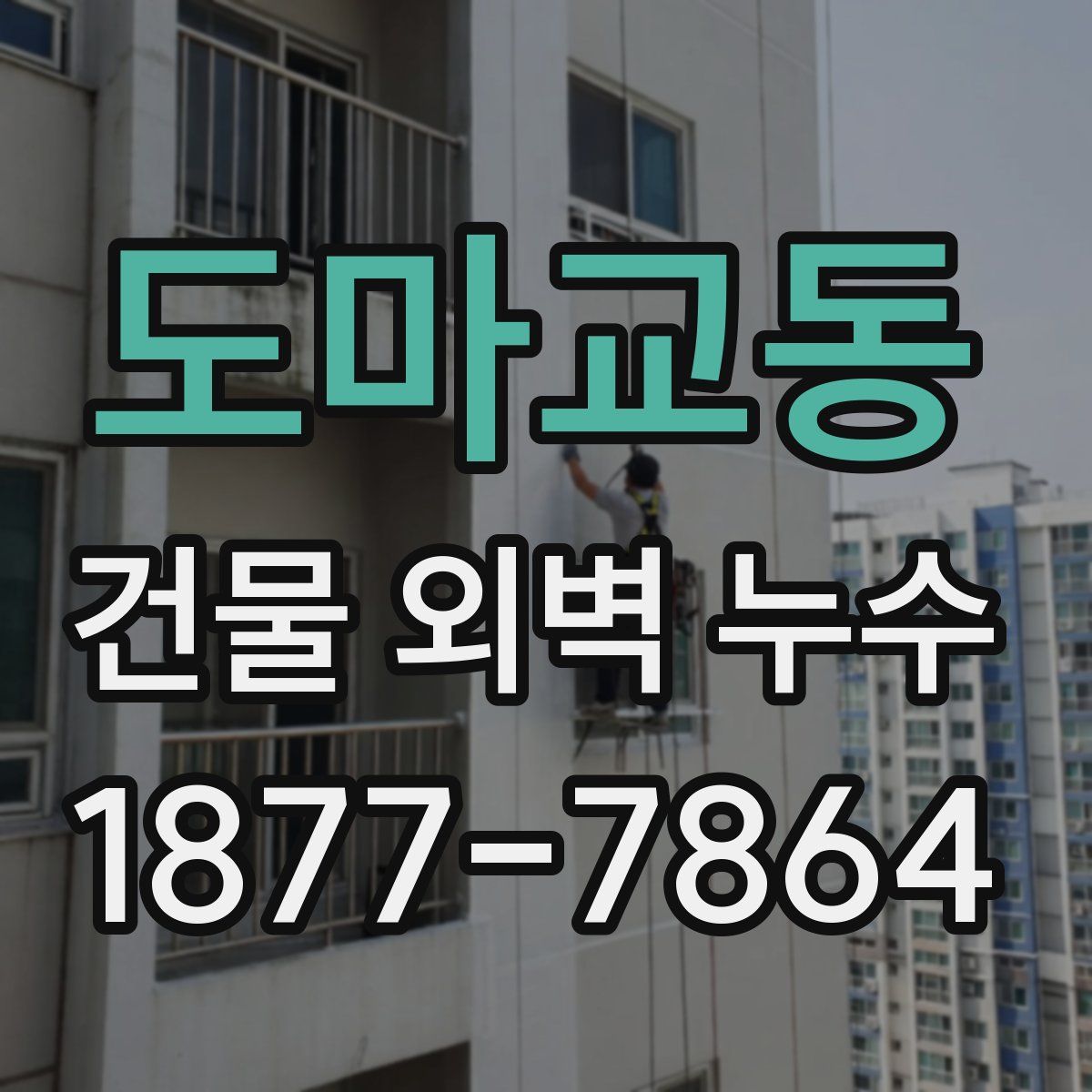 도마교동 건물 외벽 누수