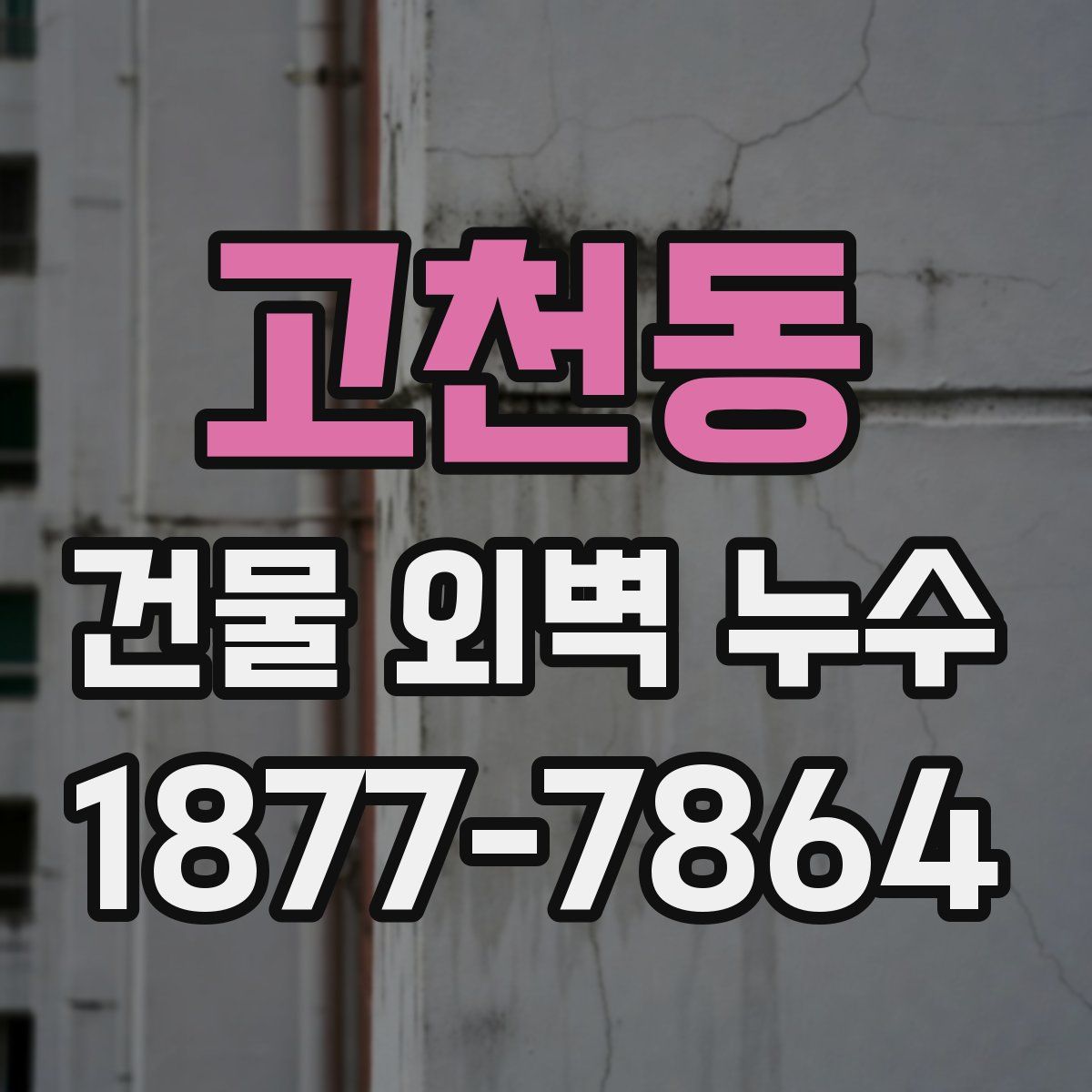 고천동 건물 외벽 누수