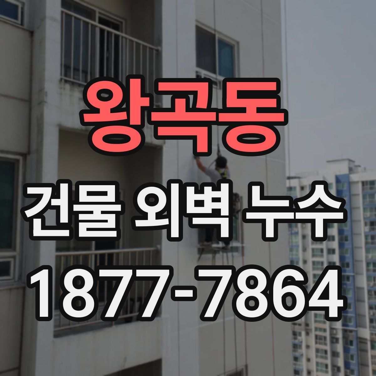 왕곡동 건물 외벽 누수