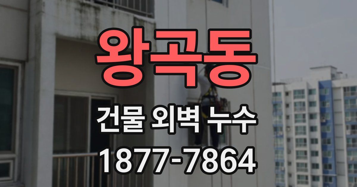 왕곡동 건물 외벽 누수