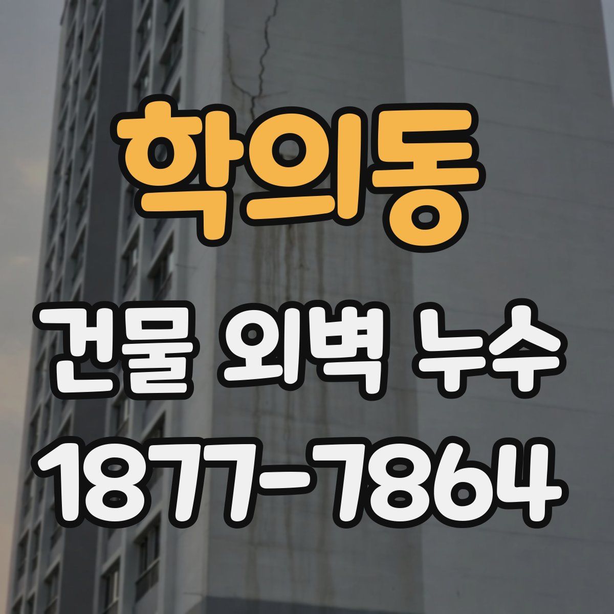 학의동 건물 외벽 누수