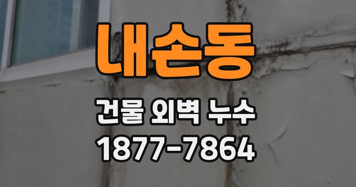 내손동 건물 외벽 누수