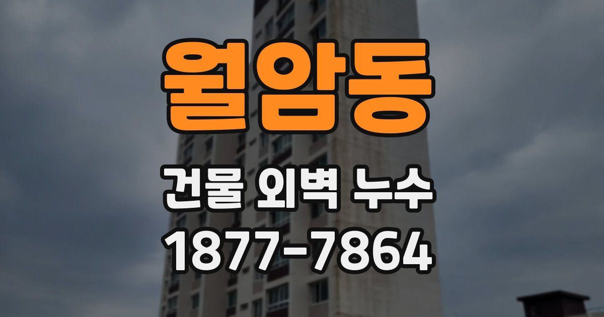 월암동 건물 외벽 누수