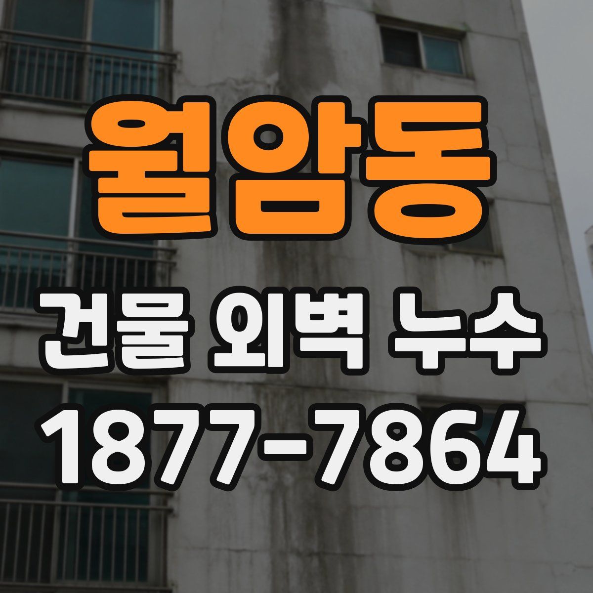 월암동 건물 외벽 누수