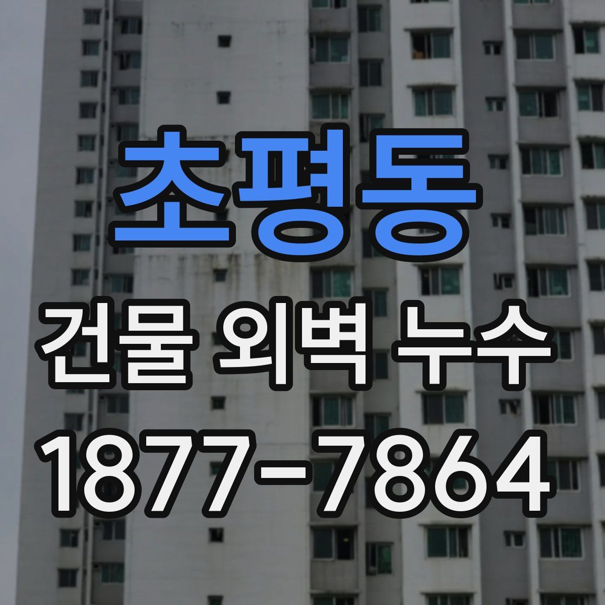 초평동 건물 외벽 누수
