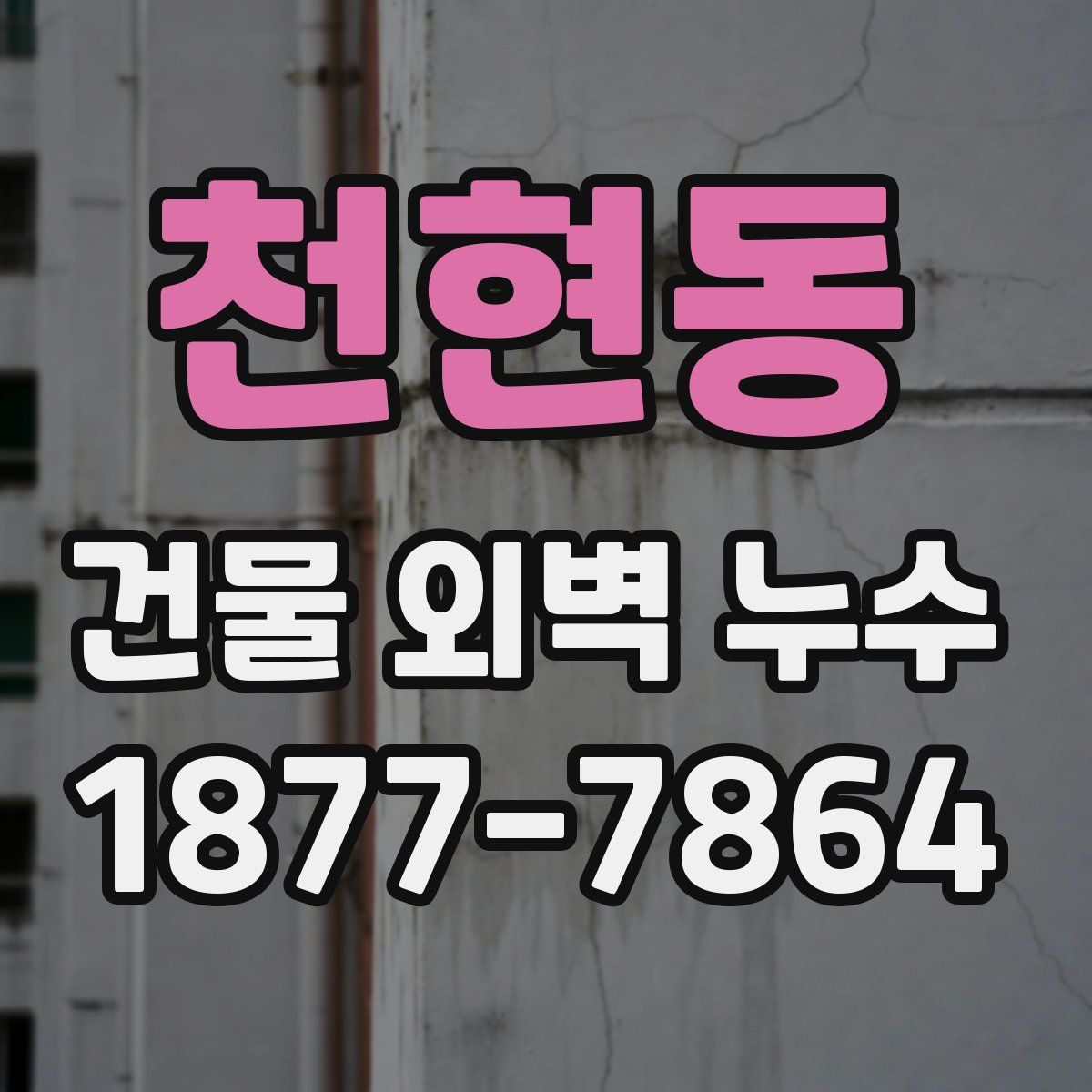 천현동 건물 외벽 누수