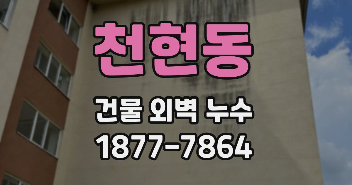 천현동 건물 외벽 누수