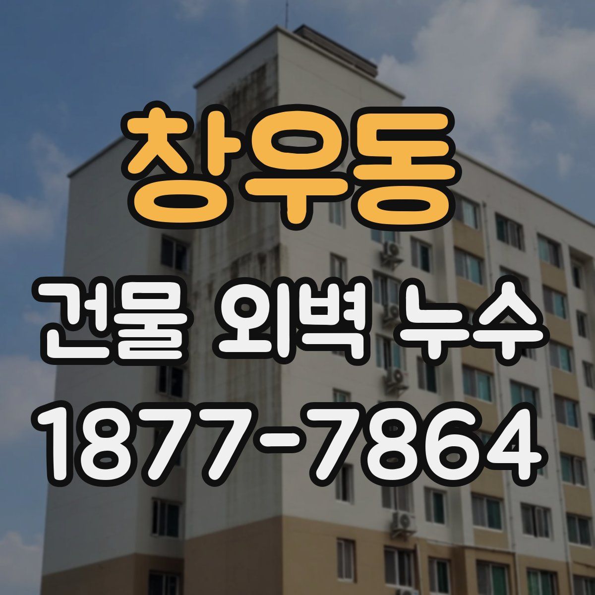 창우동 건물 외벽 누수