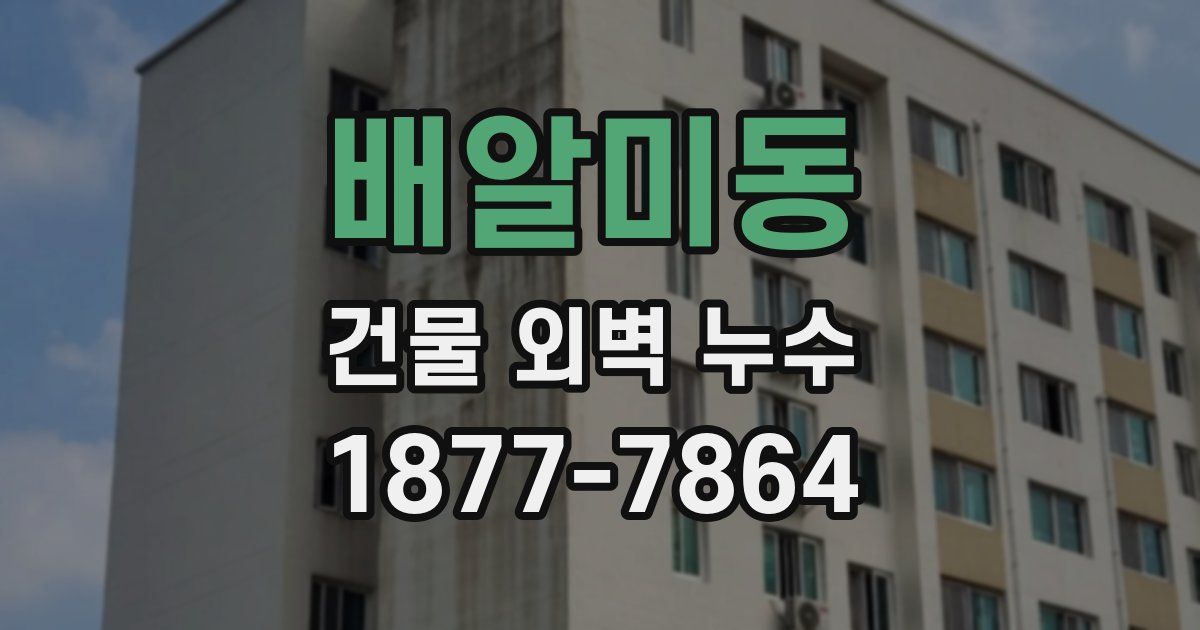 배알미동 건물 외벽 누수