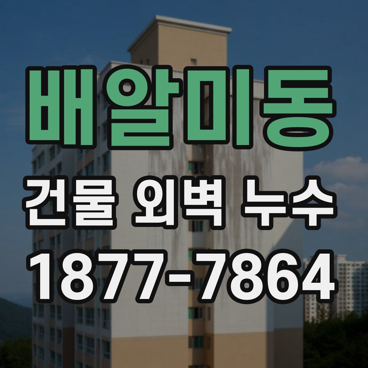 배알미동 건물 외벽 누수