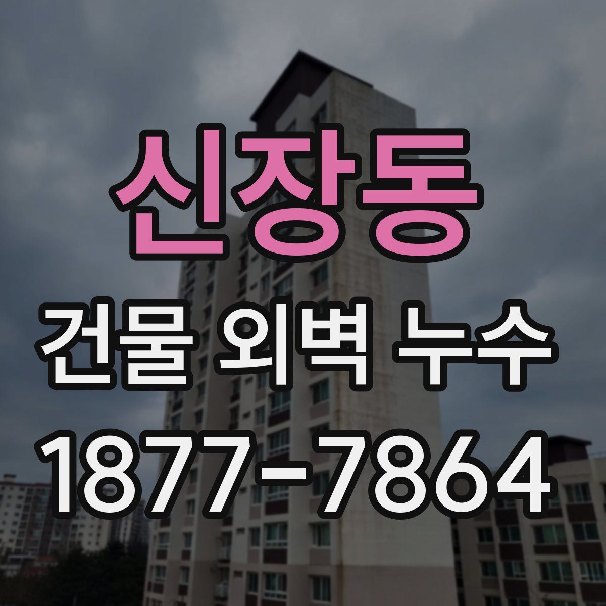 신장동 건물 외벽 누수