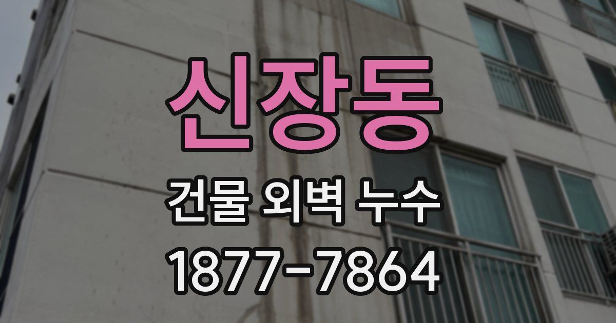 신장동 건물 외벽 누수