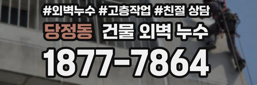 당정동 건물 외벽 누수