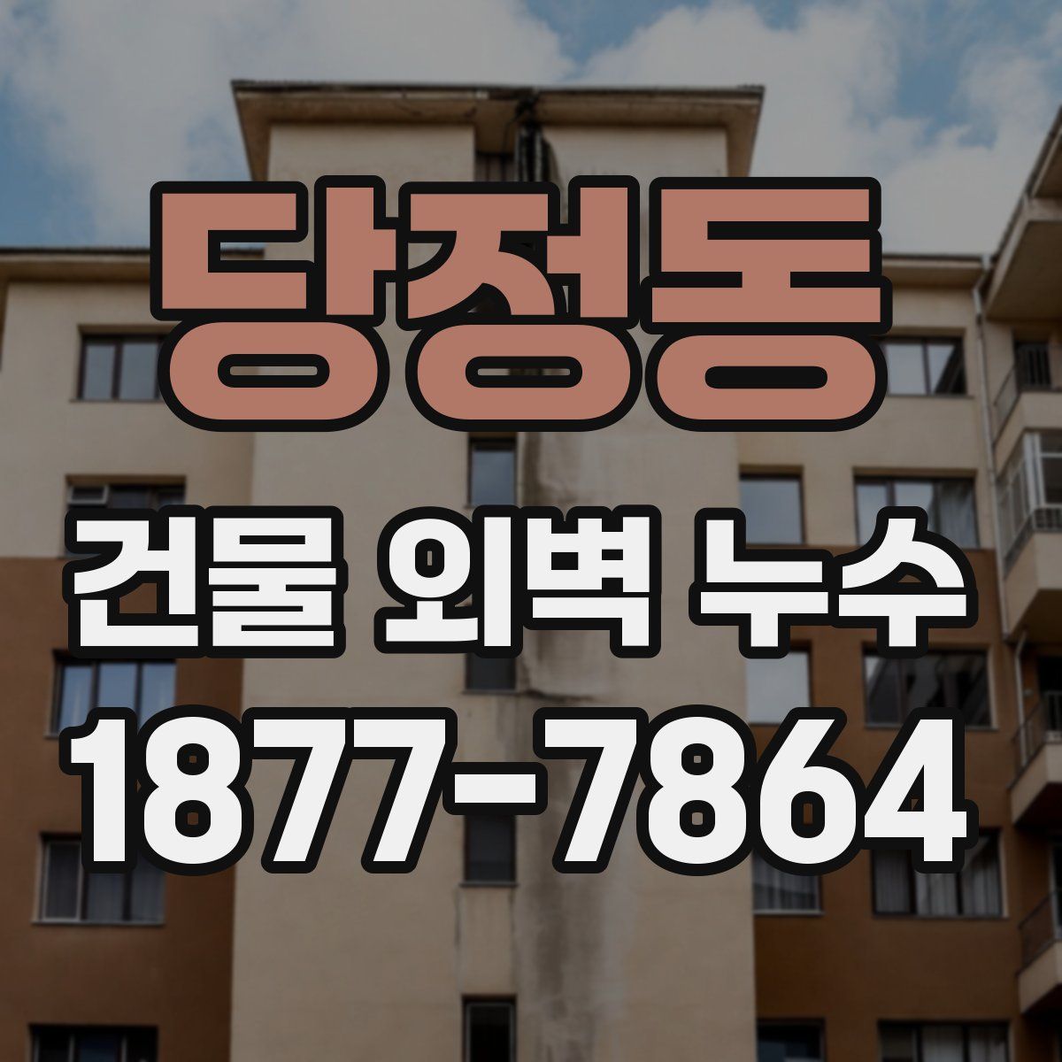 당정동 건물 외벽 누수