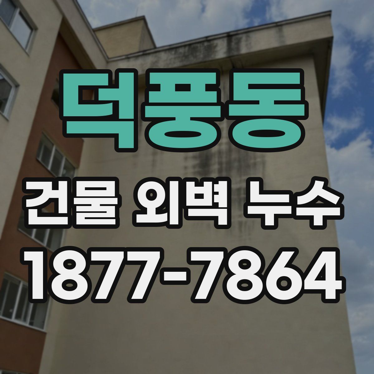 덕풍동 건물 외벽 누수