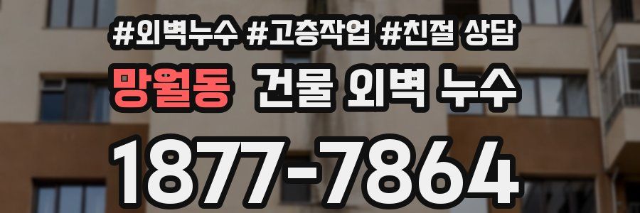 망월동 건물 외벽 누수