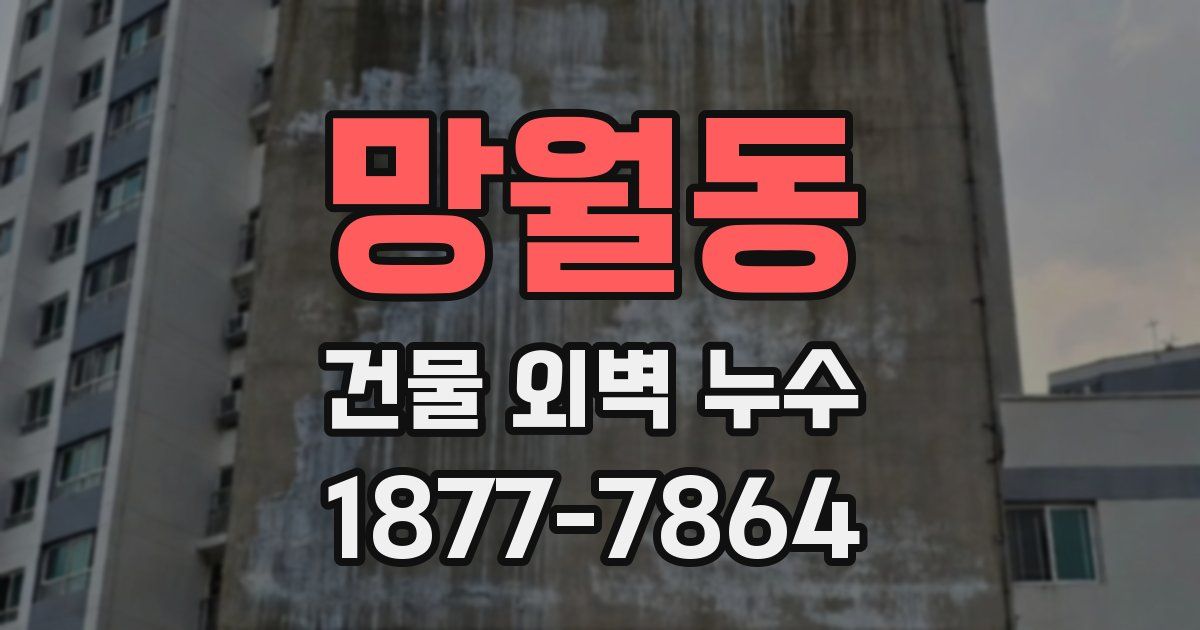 망월동 건물 외벽 누수
