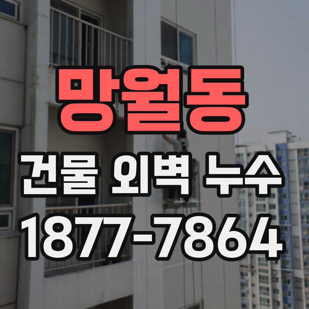 망월동 건물 외벽 누수