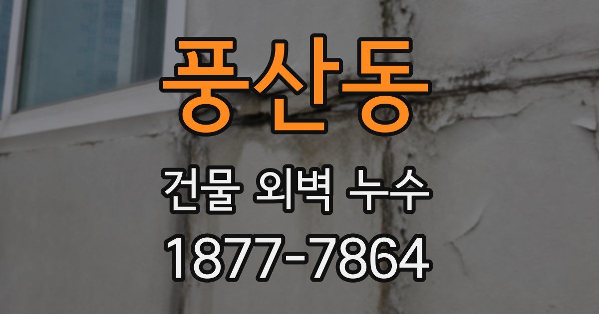 풍산동 건물 외벽 누수
