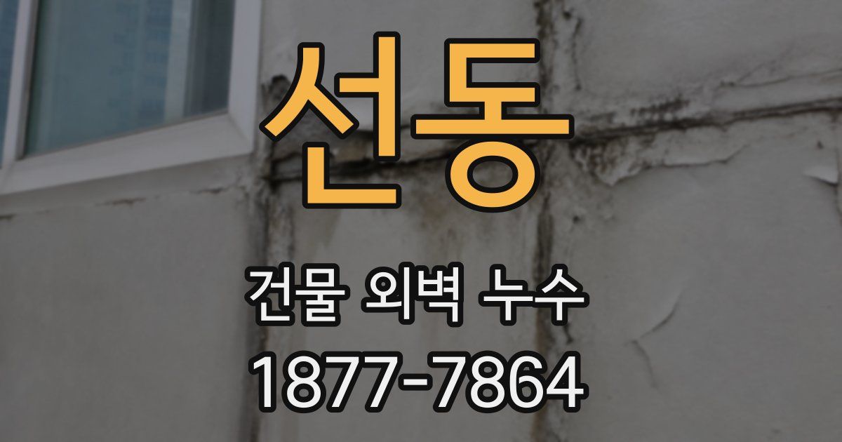 선동 건물 외벽 누수