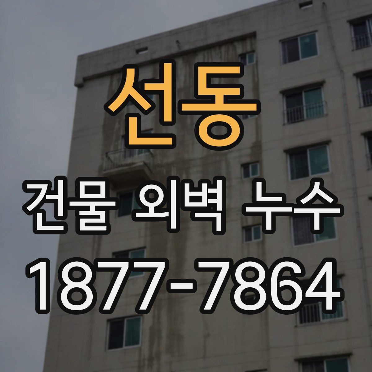 선동 건물 외벽 누수