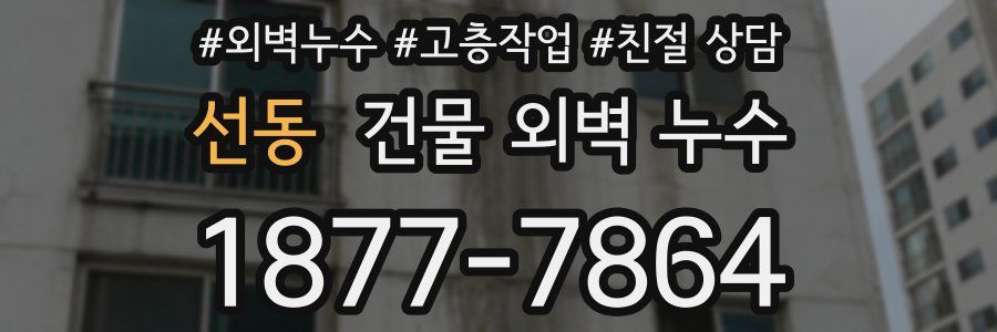 선동 건물 외벽 누수