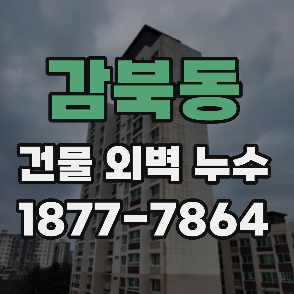 감북동 건물 외벽 누수
